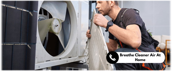 HVAC Mold Removal Los Angeles CA